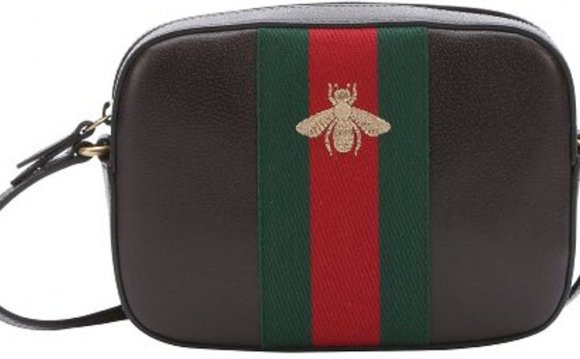 Gucci Dark Brown Leather Web