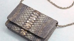 Chanel Python Wallet on Chain Flap Bag