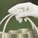 Leather polish for Purses