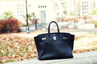 Hermes Birkin Fall Outdoors